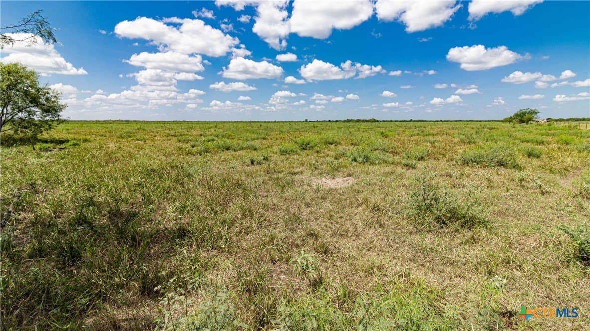 286.12 acres in Victoria County - photo 10