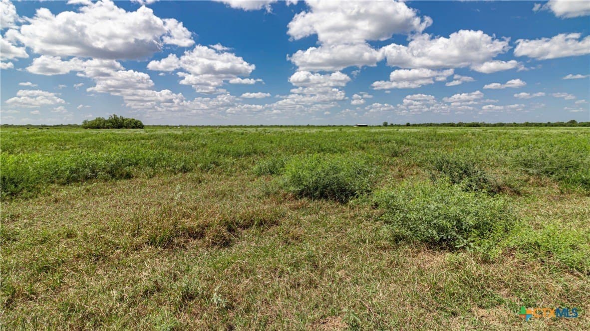 286.12 acres in Victoria County - photo 22