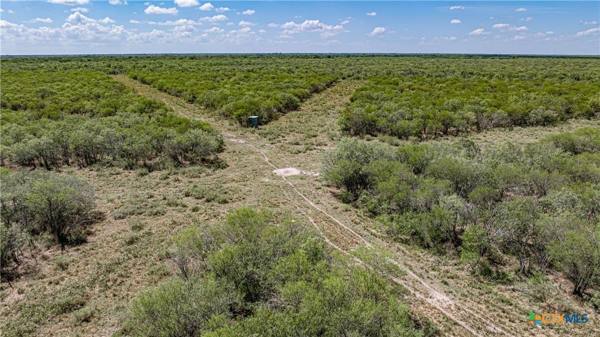 286.12 acres in Victoria County - photo 21