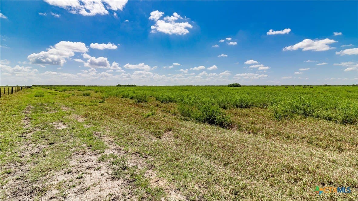 286.12 acres in Victoria County - photo 25