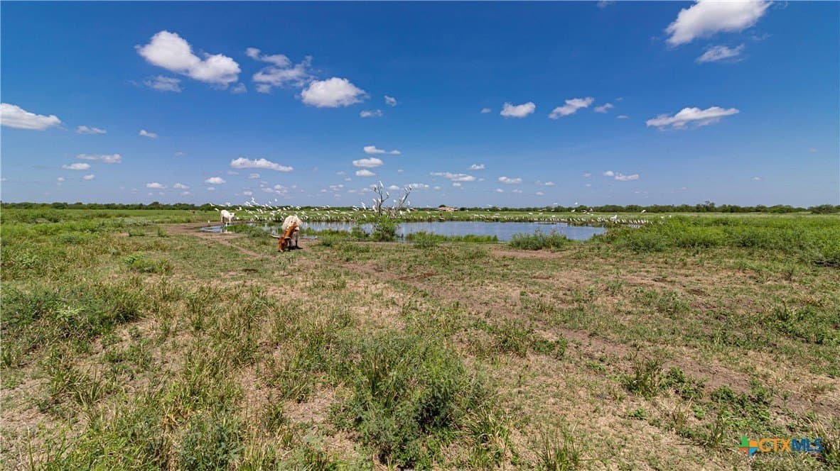 286.12 acres in Victoria County - photo 5