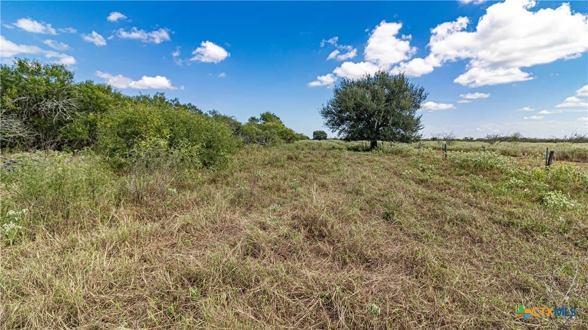 286.12 acres in Victoria County - photo 16