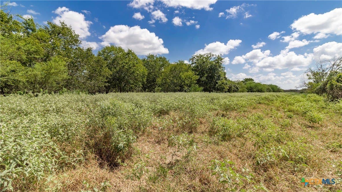286.12 acres in Victoria County - photo 15