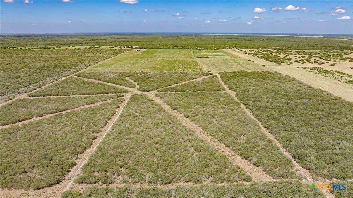286.12 acres in Victoria County - photo 9