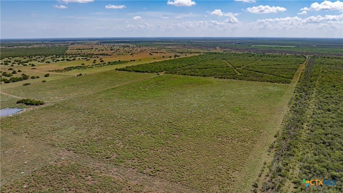 286.12 acres in Victoria County - photo 23