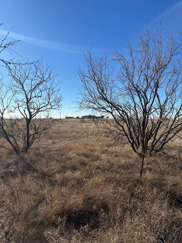 5 acres in Scurry County - photo 2