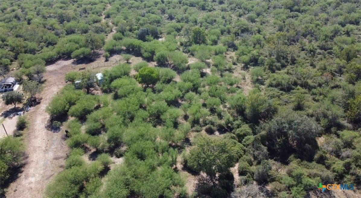 46.83 acres in Victoria County - photo 7
