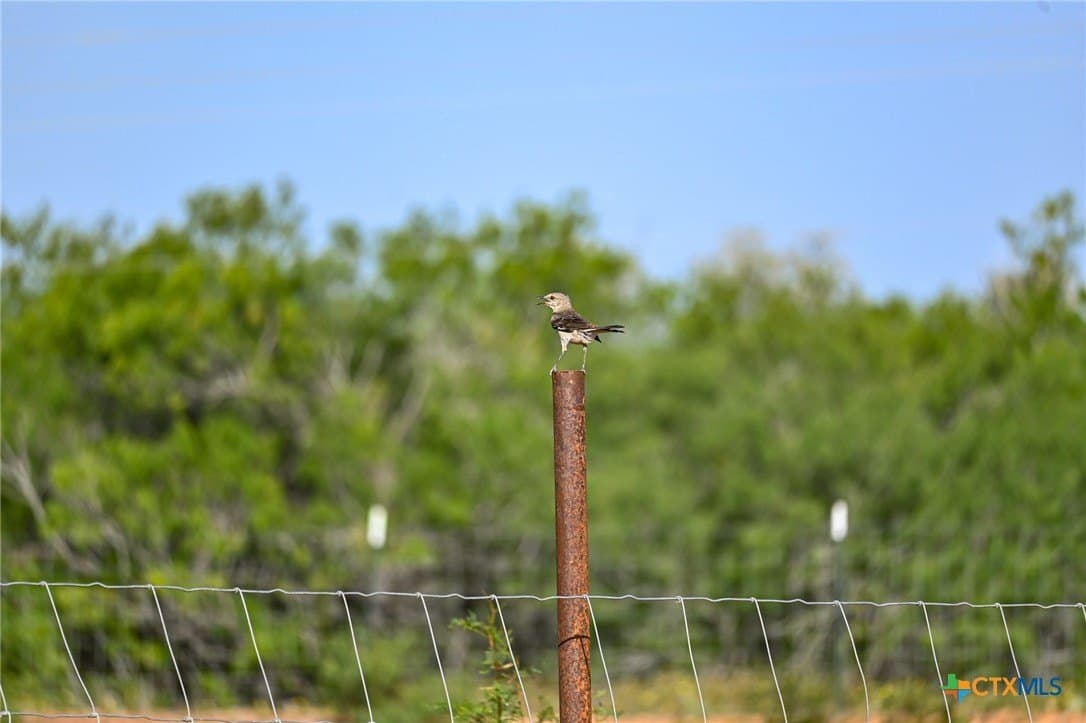 10 acres in Atascosa County - photo 31