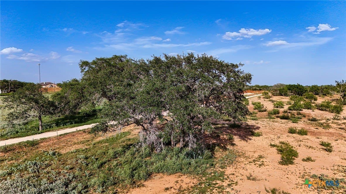 10 acres in Atascosa County - photo 3