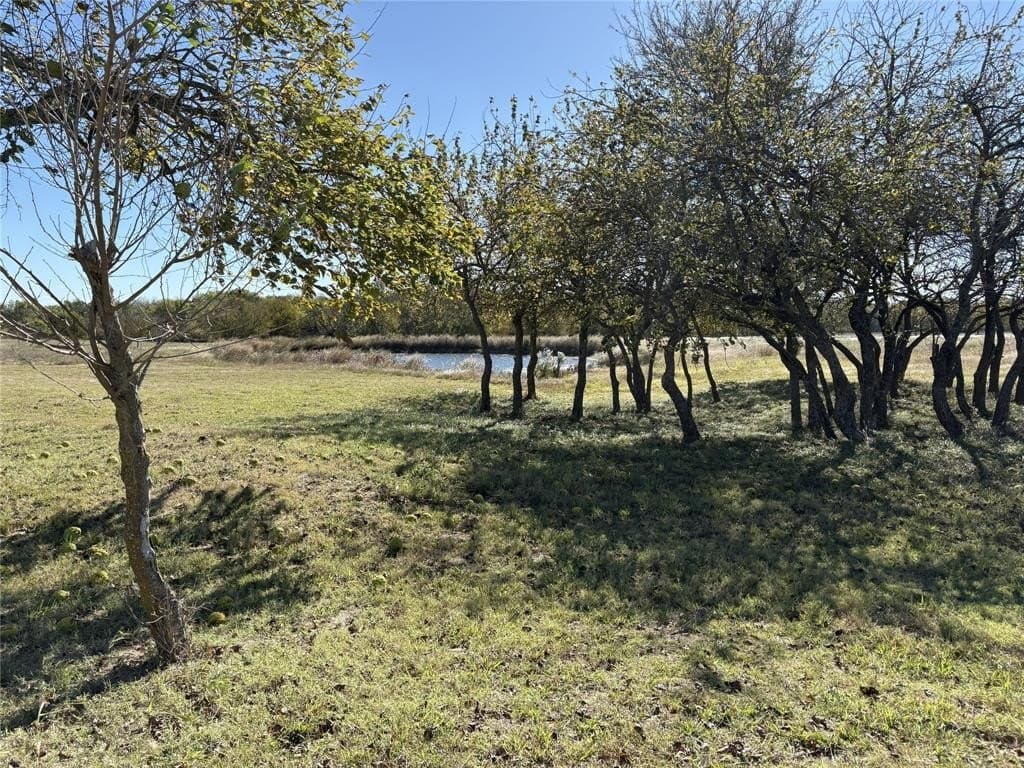 54.79 acres in Collin County - photo 5