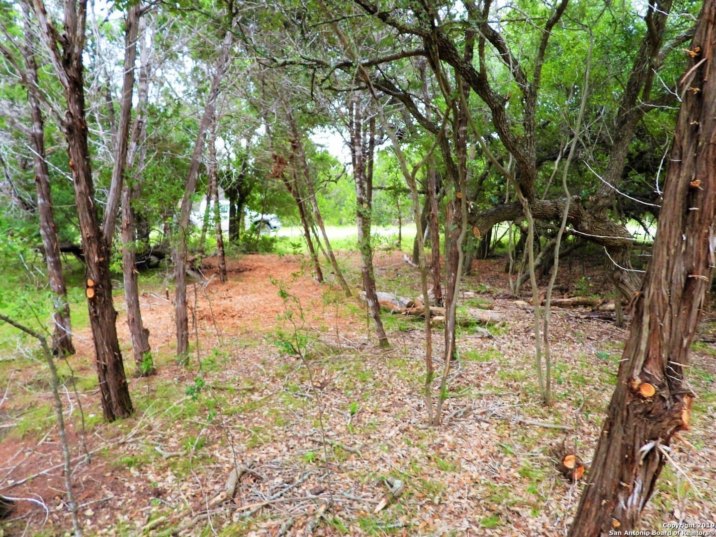 0.73 acres in Bandera County - photo 5