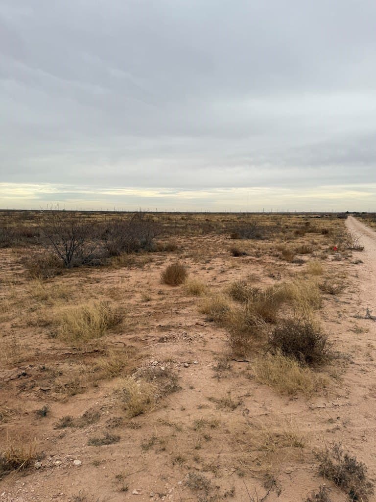 1 acres in Midland County - photo 8