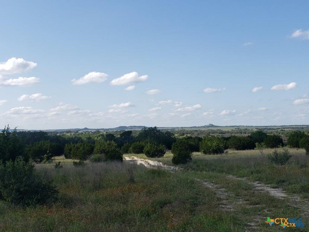 131.9 acres in Lampasas County - photo 2