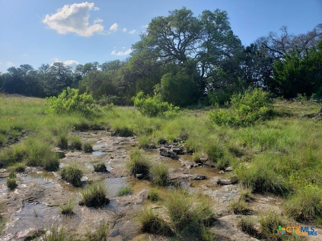 131.9 acres in Lampasas County - photo 4