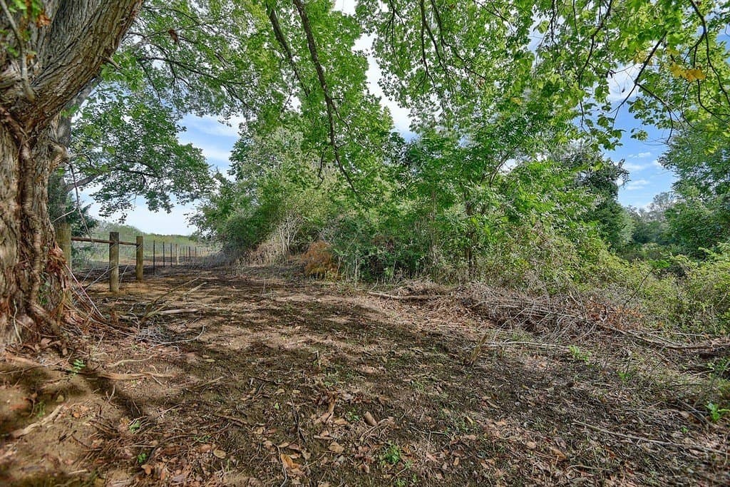 10.1 acres in Lee County - photo 3