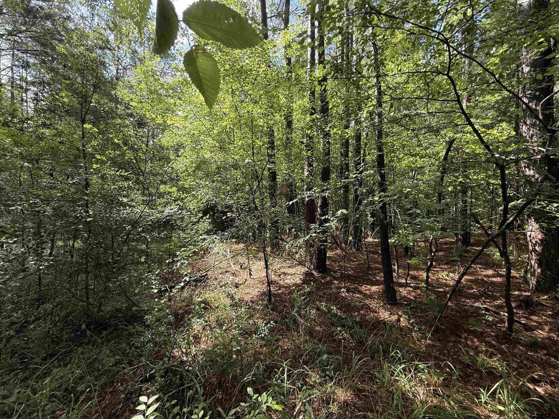 10 acres in Rusk County - photo 3