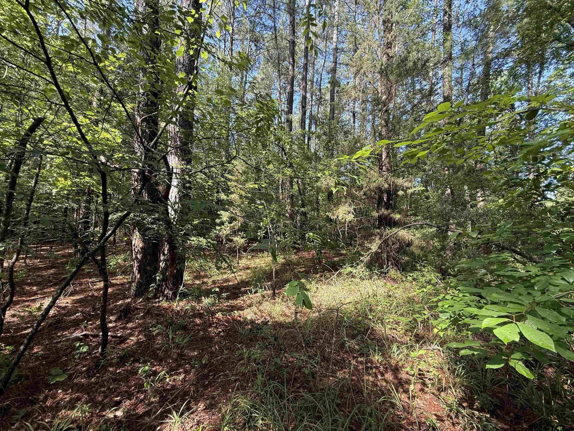 10 acres in Rusk County - photo 2