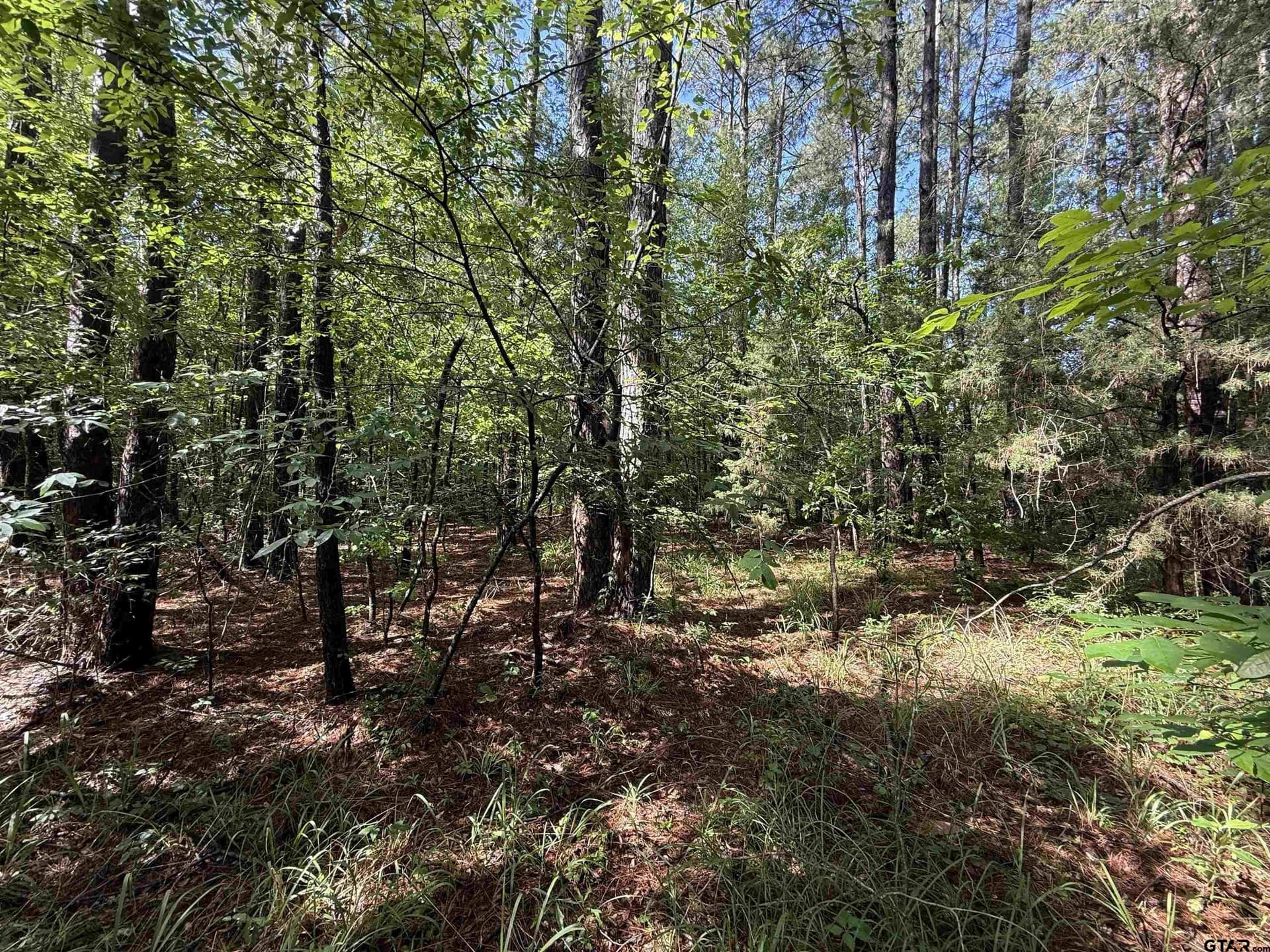 10 acres in Rusk County - photo 4