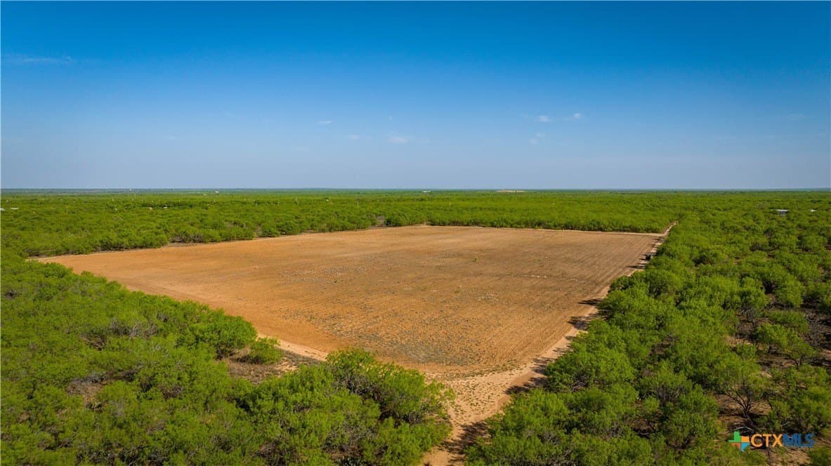 1,222 acres in Dimmit County - photo 13