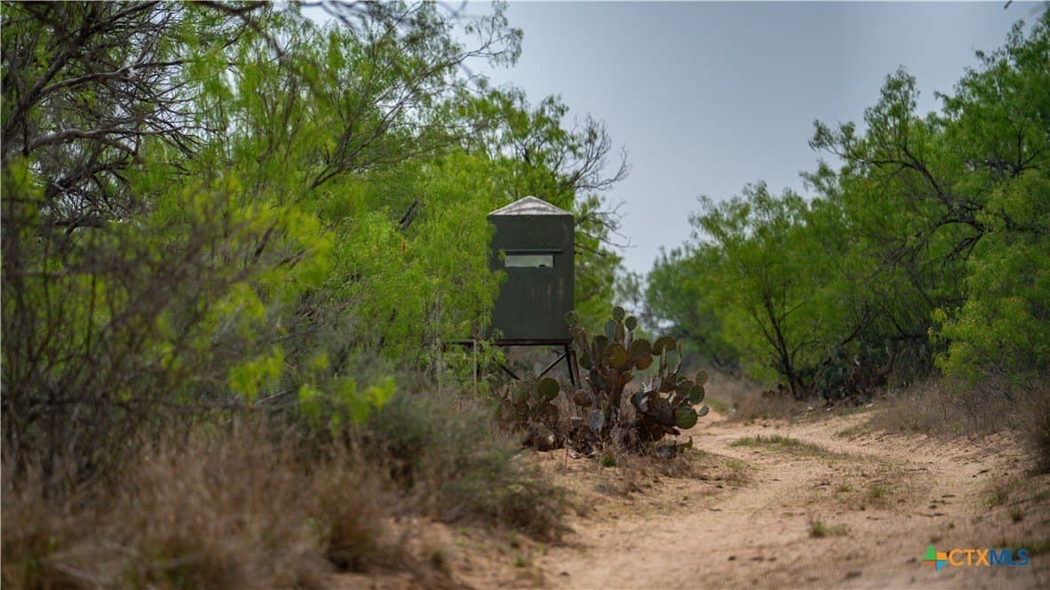 1,222 acres in Dimmit County - photo 41