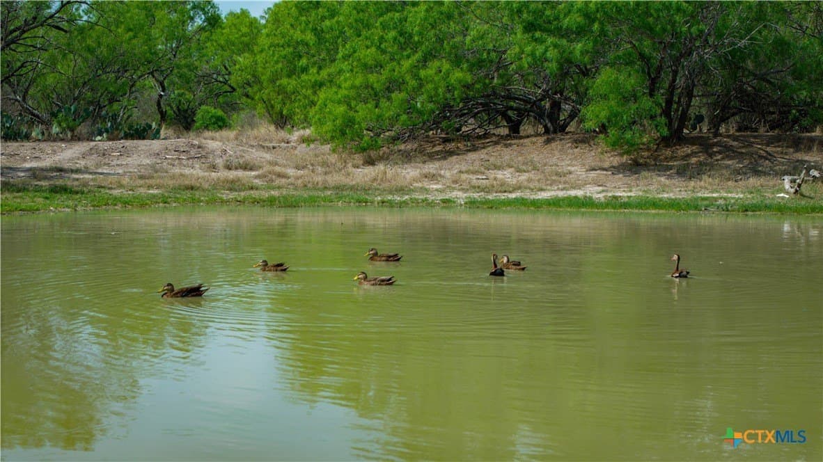 1,222 acres in Dimmit County - photo 29