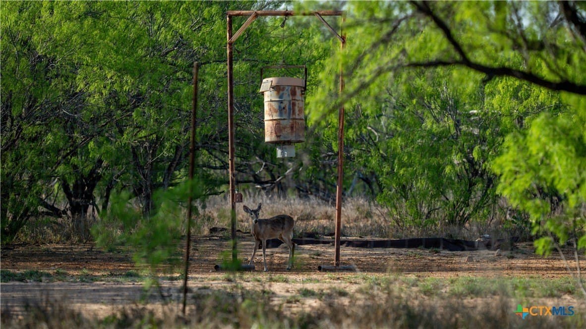 1,222 acres in Dimmit County - photo 12