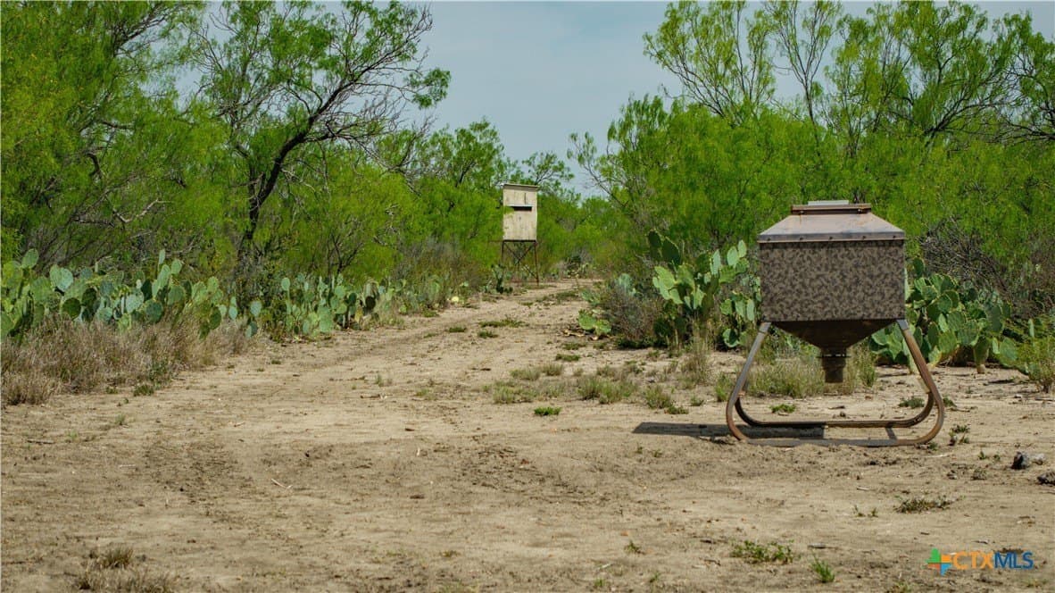 1,222 acres in Dimmit County - photo 30