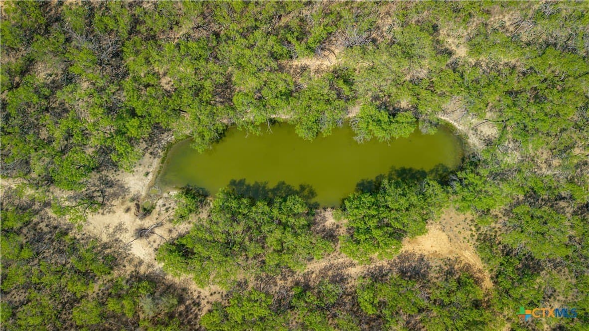 1,222 acres in Dimmit County - photo 24
