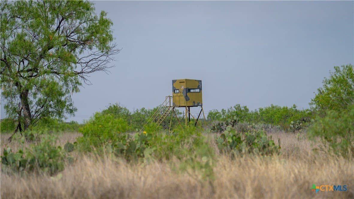 1,222 acres in Dimmit County - photo 42