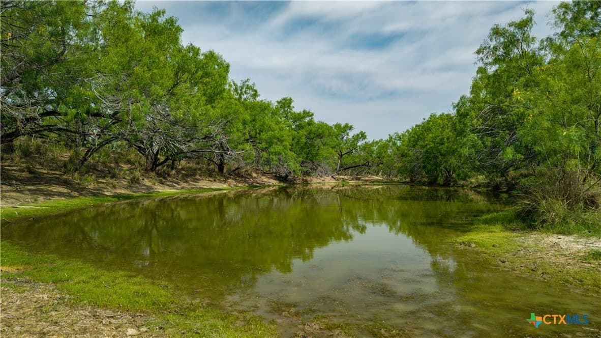 1,222 acres in Dimmit County - photo 23