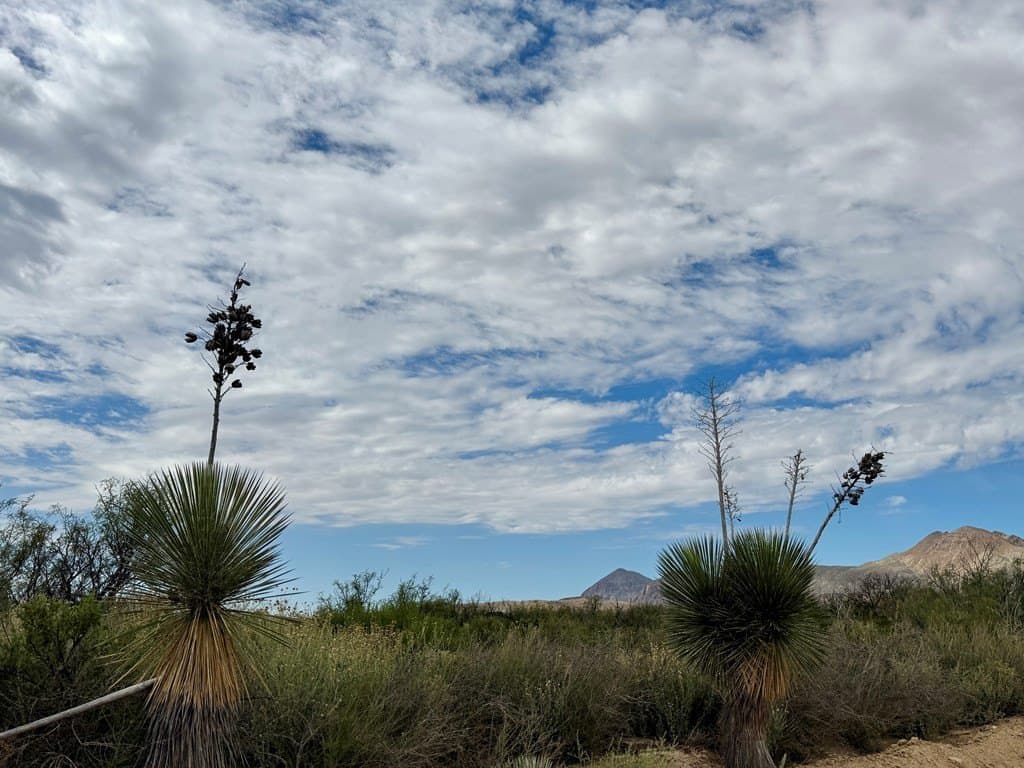 5 acres in Brewster County - photo 3