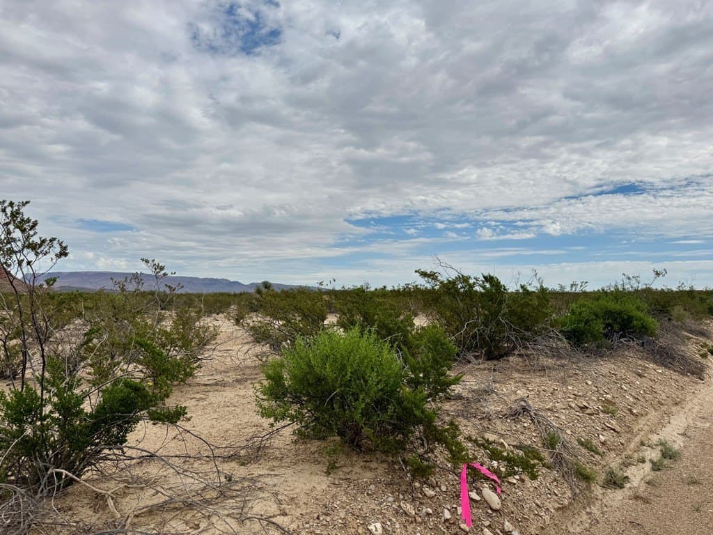 5 acres in Brewster County - photo 2
