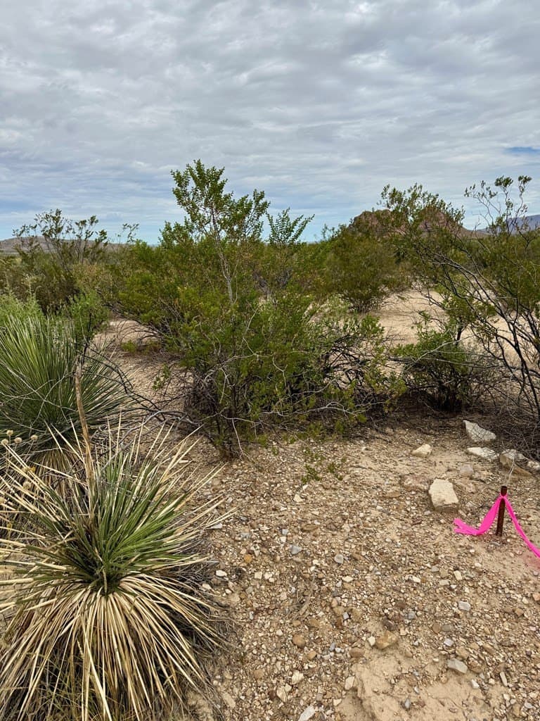 5 acres in Brewster County - photo 12