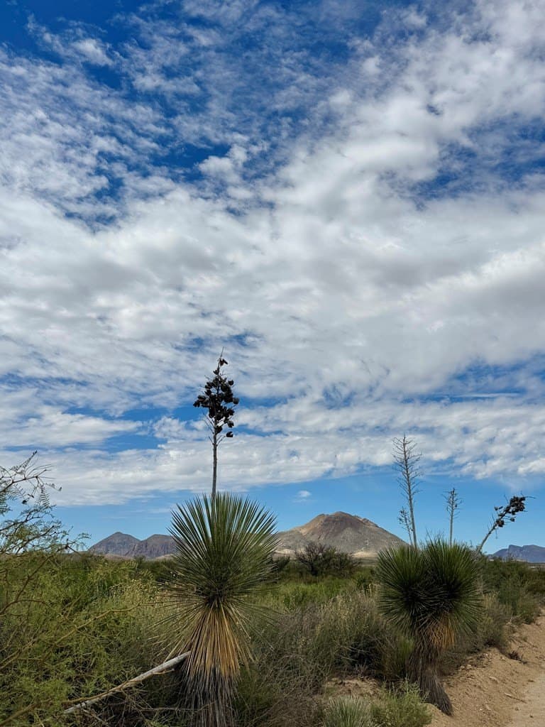 5 acres in Brewster County - photo 4