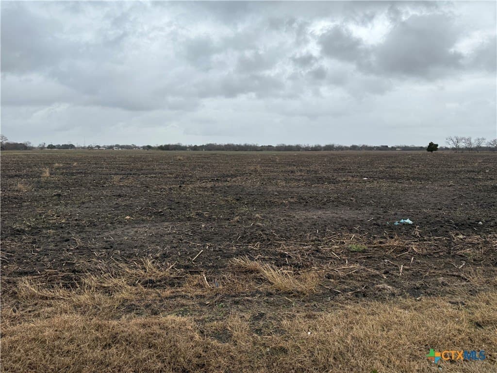 53.48 acres in Victoria County - photo 4