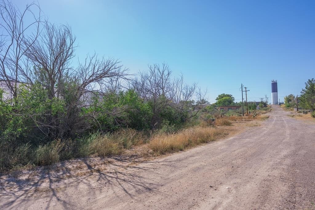 0.3 acres in Presidio County - photo 4