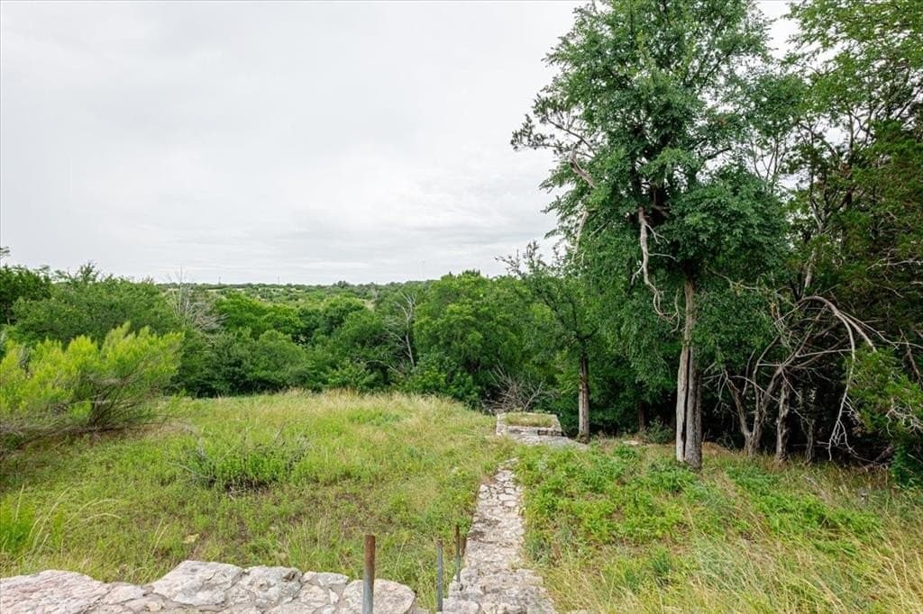 0.56 acres in Palo Pinto County - photo 5