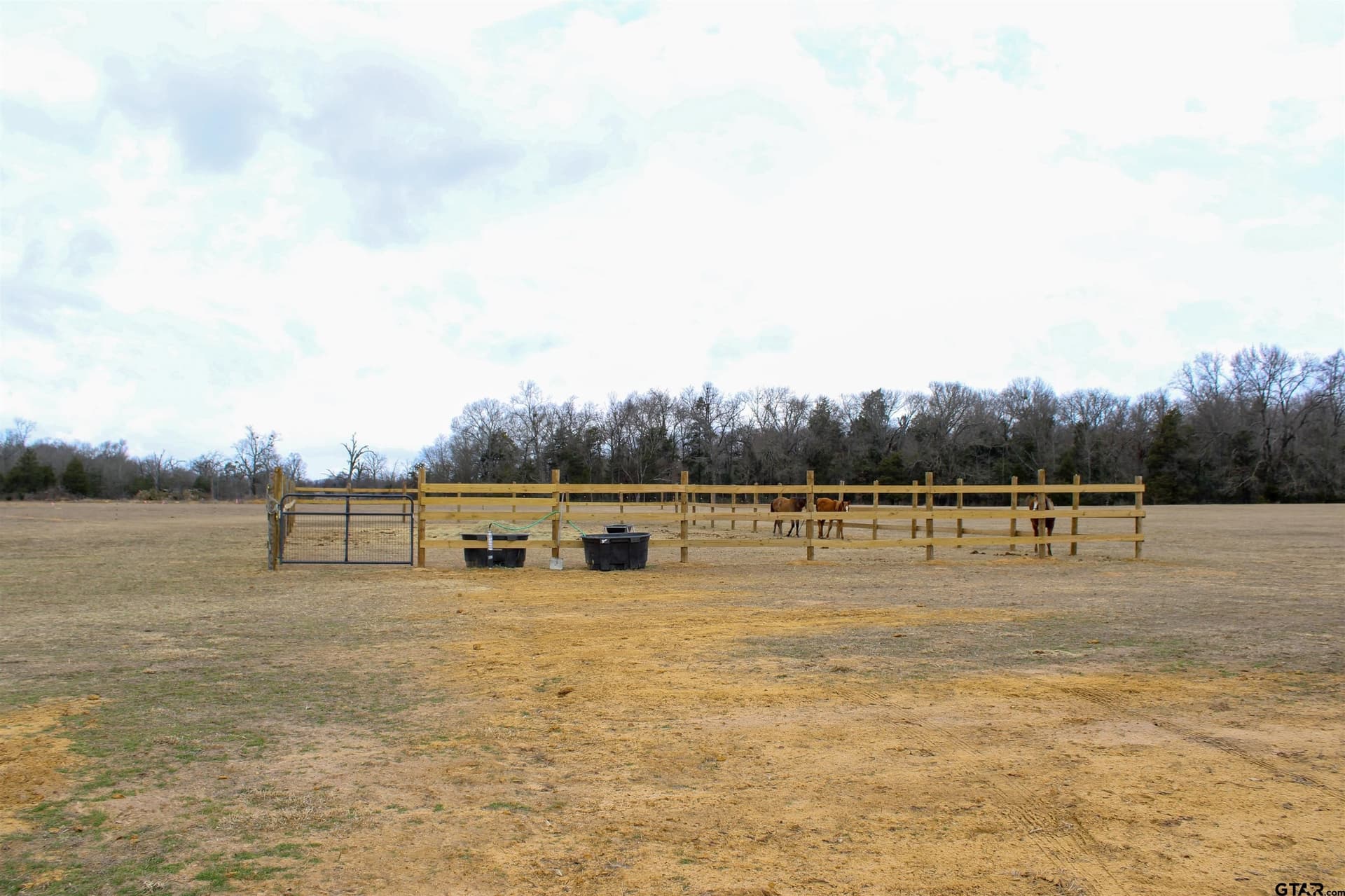 25 acres in Wood County - photo 6