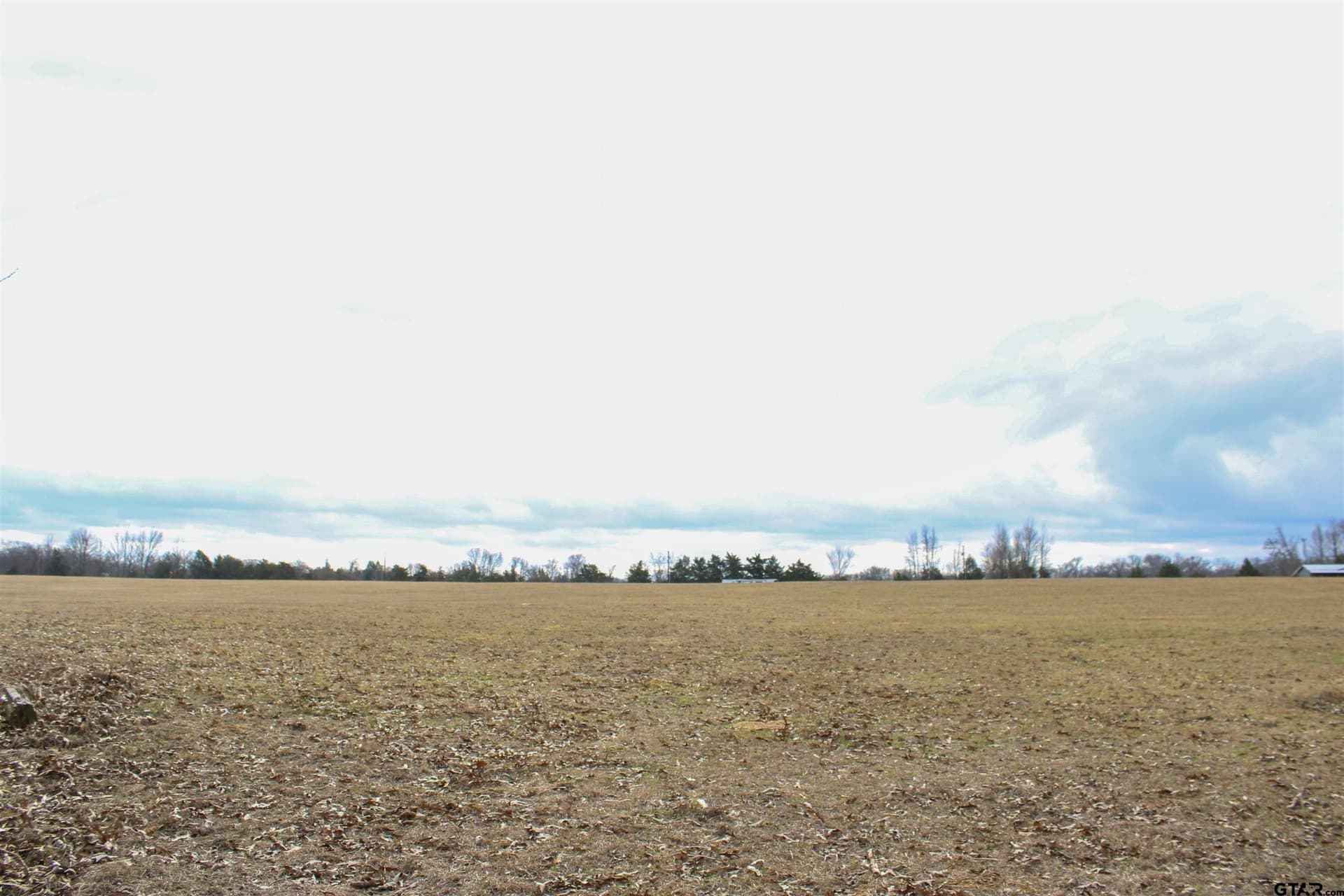 25 acres in Wood County - photo 18