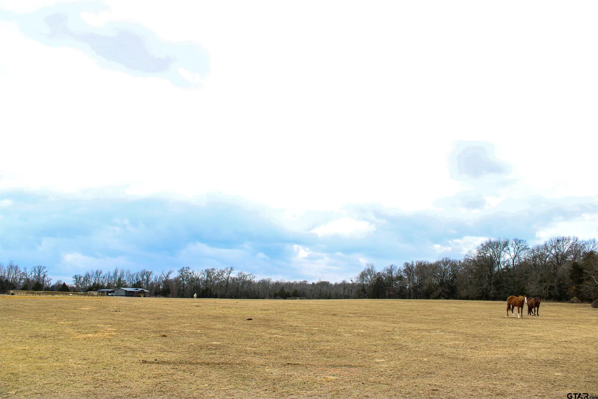 25 acres in Wood County - photo 26