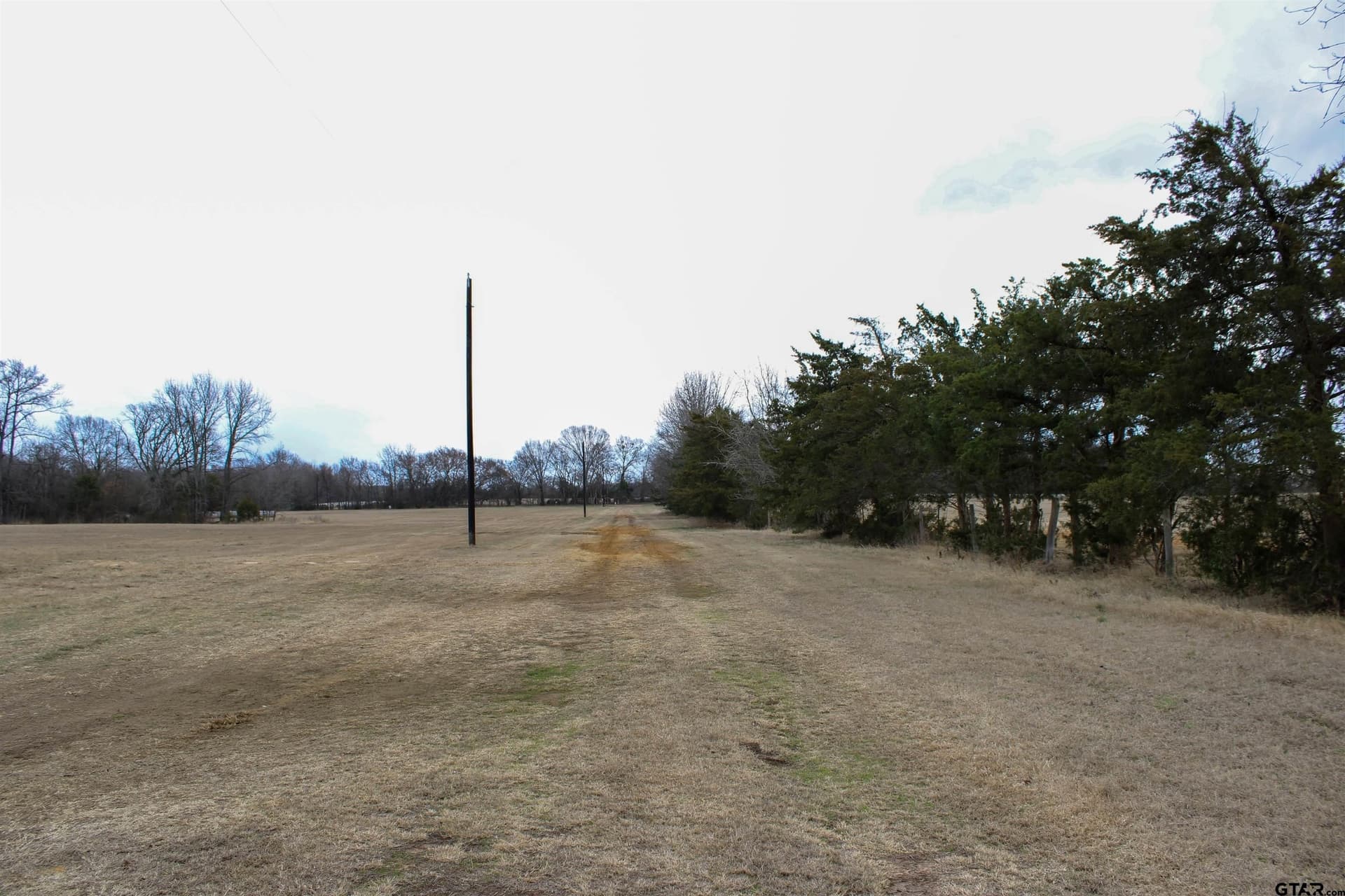 25 acres in Wood County - photo 2