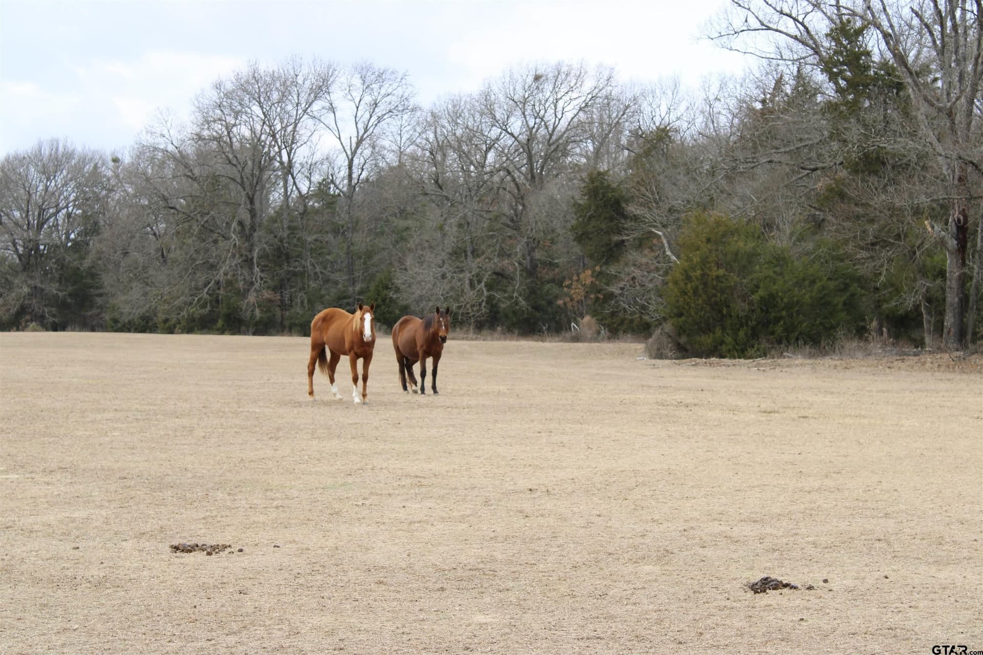 25 acres in Wood County - photo 27
