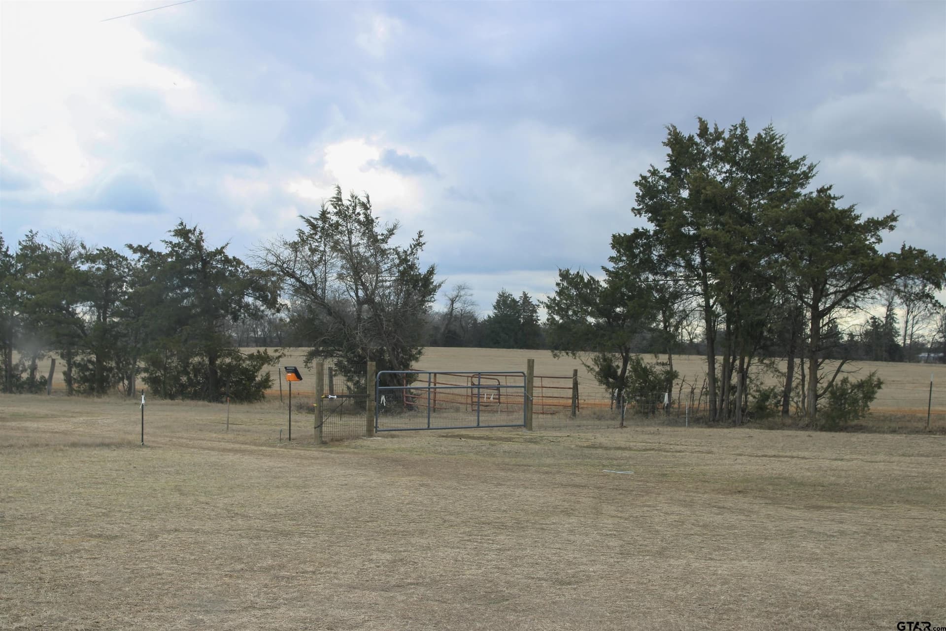 25 acres in Wood County - photo 5