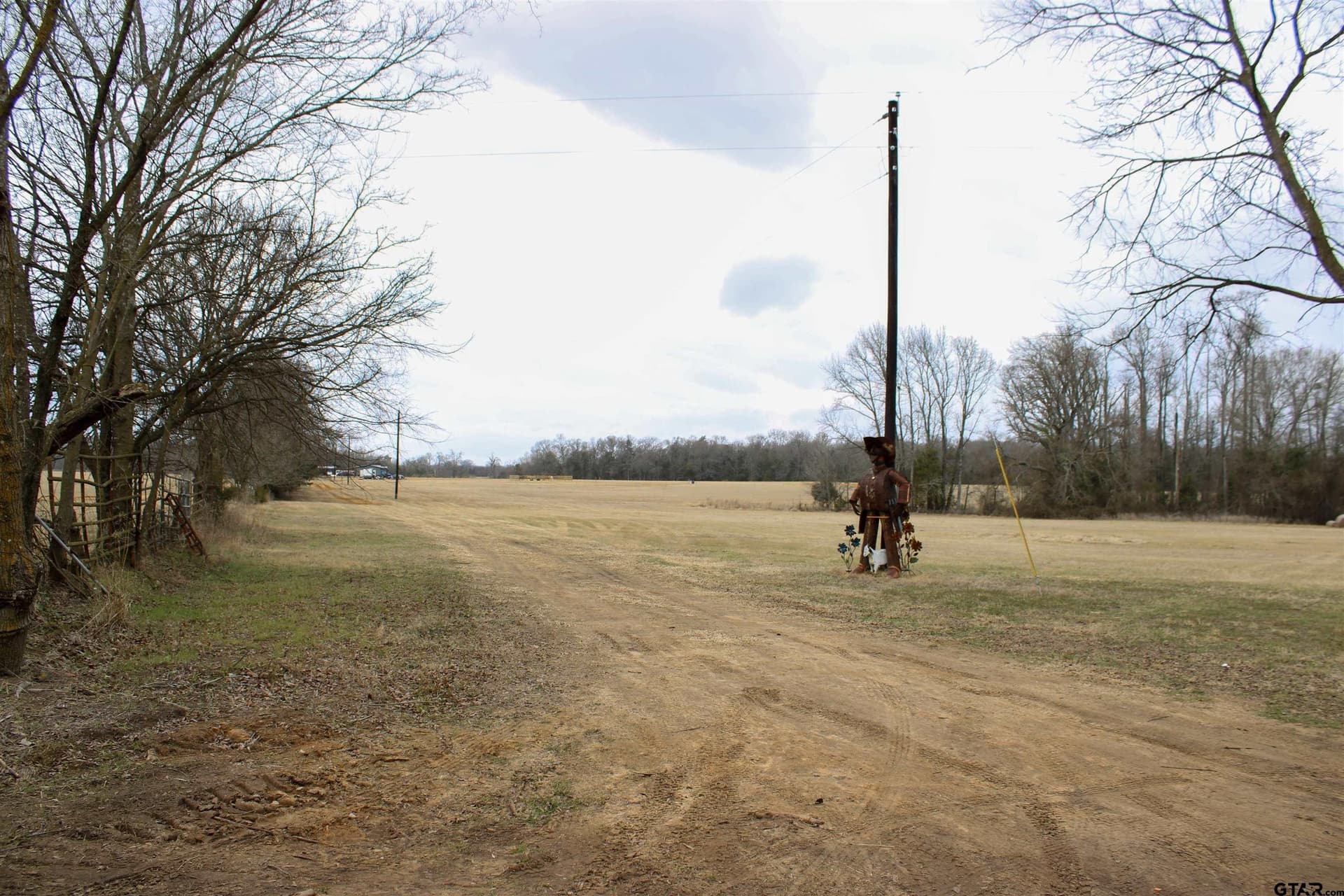 1181 County Road 4878