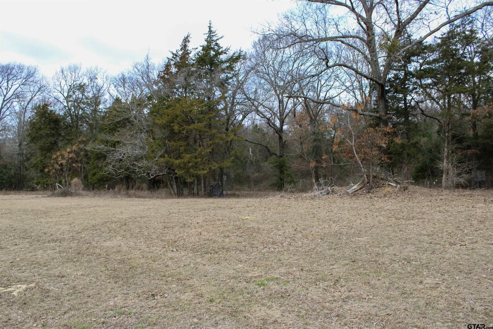 25 acres in Wood County - photo 21
