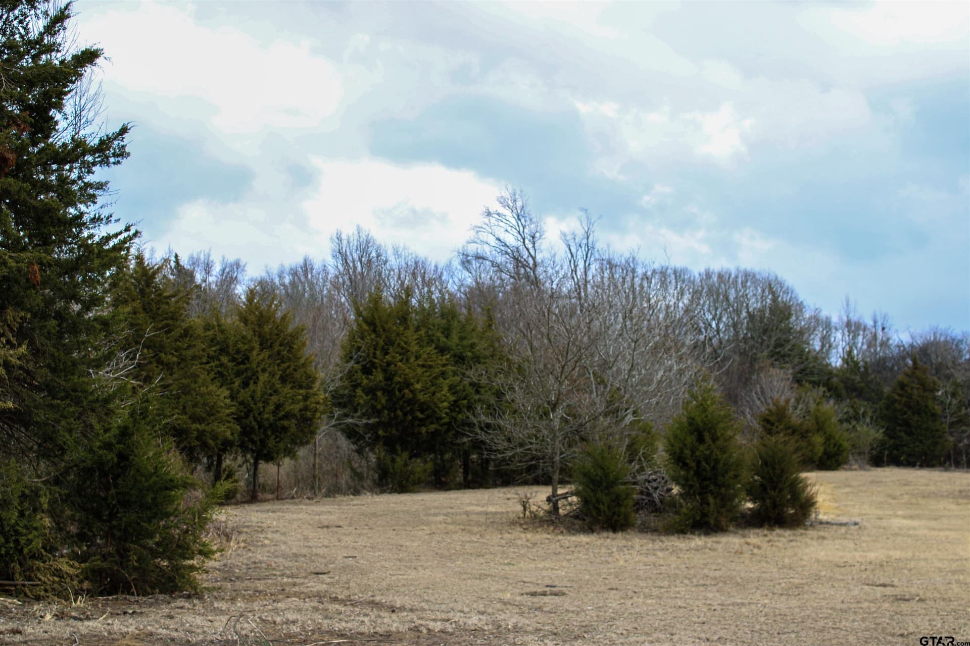 25 acres in Wood County - photo 24