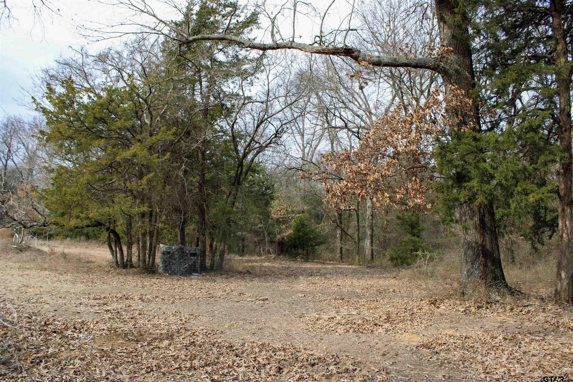 25 acres in Wood County - photo 19