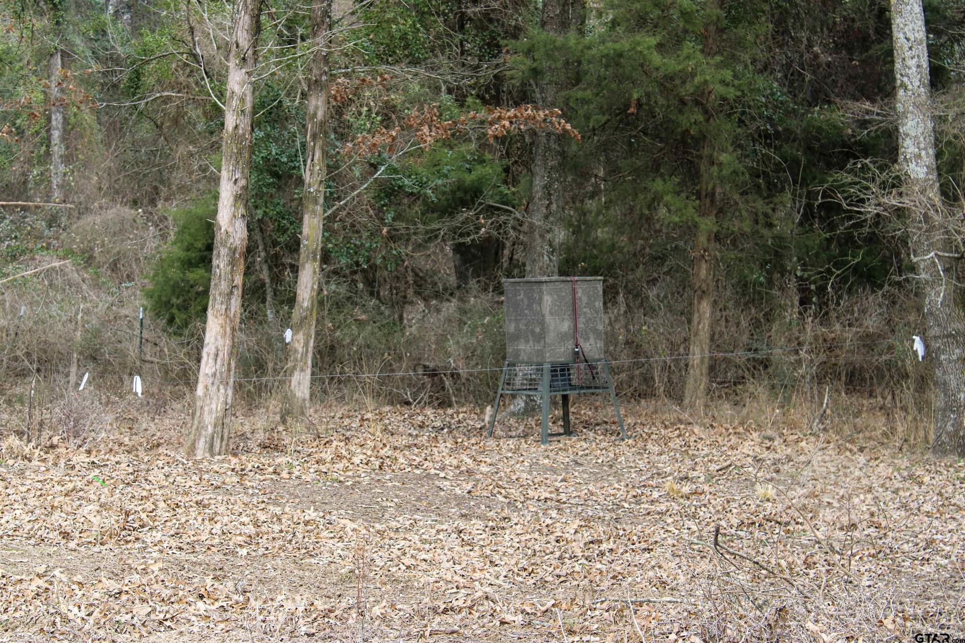 25 acres in Wood County - photo 20