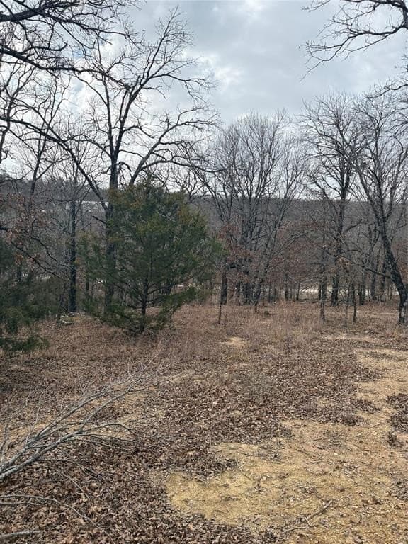 2.01 acres in Montague County - photo 5