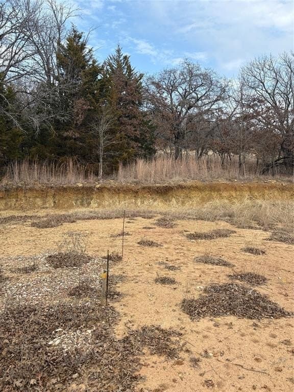 2.01 acres in Montague County - photo 9